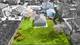 7832 Garden, Justice, IL 60458