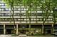 33 E Cedar Unit 3D, Chicago, IL 60611