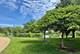 825 Pearson Unit 3A, Des Plaines, IL 60016