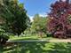 825 Pearson Unit 3A, Des Plaines, IL 60016