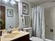 825 Pearson Unit 3A, Des Plaines, IL 60016