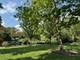 825 Pearson Unit 3A, Des Plaines, IL 60016