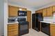 202 Dublin Unit V-1, Schaumburg, IL 60194
