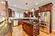 1206 Lathrop, River Forest, IL 60305