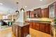 1206 Lathrop, River Forest, IL 60305
