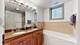 3933 S Indiana Unit 1, Chicago, IL 60653