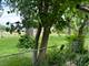 11737 S Kedvale, Alsip, IL 60803