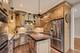 2946 N Pine Grove Unit 1S, Chicago, IL 60657