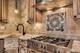 2946 N Pine Grove Unit 1S, Chicago, IL 60657