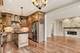 2946 N Pine Grove Unit 1S, Chicago, IL 60657
