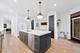 832 W Altgeld Unit 1, Chicago, IL 60614