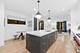 832 W Altgeld Unit 1, Chicago, IL 60614