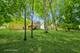 421 Windham, Carpentersville, IL 60110