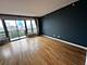 1717 S Prairie Unit 709, Chicago, IL 60616