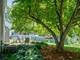 1903 Ronzheimer, St. Charles, IL 60174