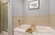372 W Wood, Palatine, IL 60067