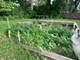 515 N Maple, Wood Dale, IL 60191