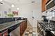 1255 N Orleans Unit 1103, Chicago, IL 60610