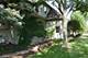 3919 Callander, Naperville, IL 60564