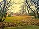 5955 Meadow Unit 5955, Lisle, IL 60532