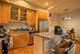 1017 W Dakin Unit 1, Chicago, IL 60613
