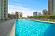1250 S Michigan Unit 1710, Chicago, IL 60605