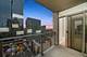 1250 S Michigan Unit 1710, Chicago, IL 60605