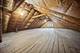 2215 Cuyler, Berwyn, IL 60402