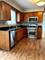 1667 Hinterlong, Naperville, IL 60563