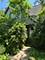 114 E Brown, West Chicago, IL 60185