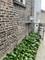 617 Harlem, Forest Park, IL 60130