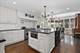 1300 Hackberry, Winnetka, IL 60093