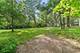 13302 Archer, Lemont, IL 60439