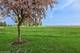 913 Village Unit 913, Marengo, IL 60152