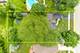 215 Rush, Roselle, IL 60172