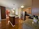 1111 S Wabash Unit 711, Chicago, IL 60605