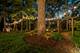 1396 Notre Dame, Lemont, IL 60439
