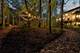1396 Notre Dame, Lemont, IL 60439