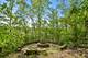 1396 Notre Dame, Lemont, IL 60439
