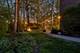 1396 Notre Dame, Lemont, IL 60439