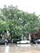 2135 N Southport Unit 102, Chicago, IL 60614