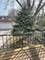 828 N Sleight Unit 200, Naperville, IL 60563