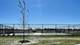 396 Arbor Ridge, Hampshire, IL 60140