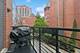 1827 S Prairie, Chicago, IL 60616