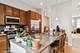 1827 S Prairie, Chicago, IL 60616