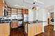 450 W Briar Unit 12M, Chicago, IL 60657