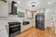 1115 N Taylor, Oak Park, IL 60302