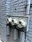 4047 W Adams, Chicago, IL 60624
