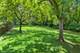 723 N River, Algonquin, IL 60102