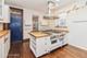 1133 N Spaulding, Chicago, IL 60651